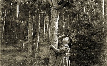 C’era una volta il "parco avventura"