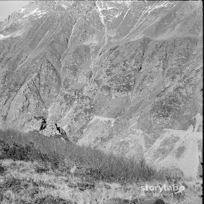 Montagna
