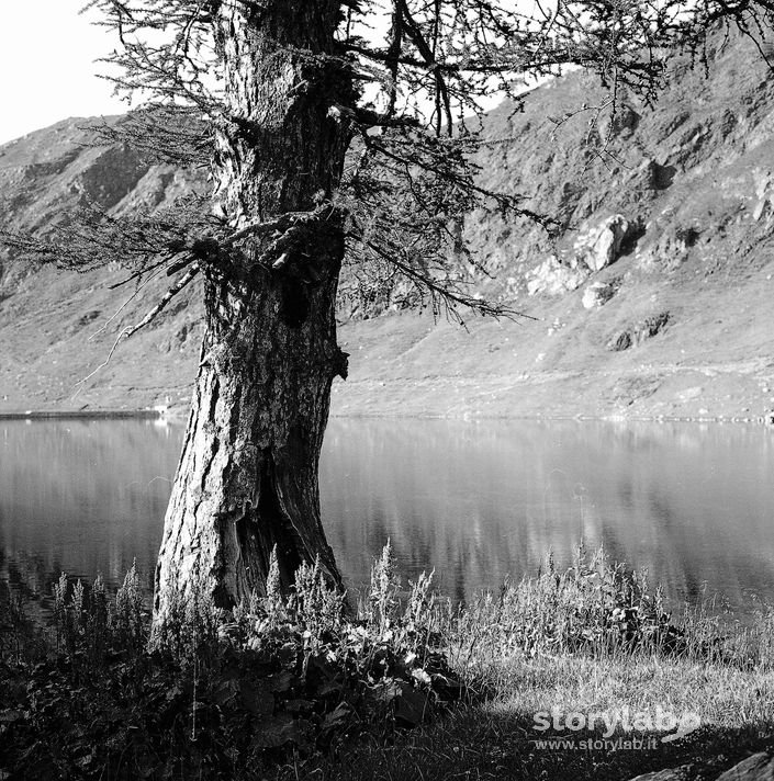 Lago alpino
