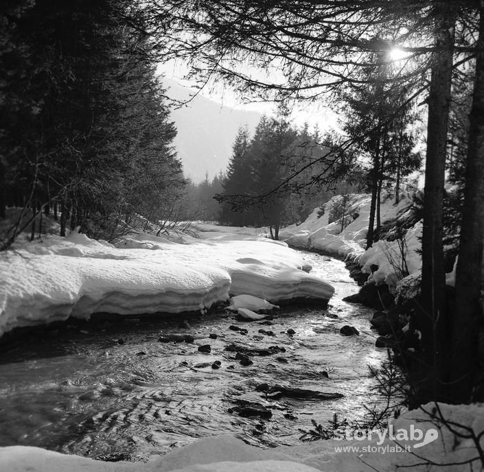 Paesaggio innevato