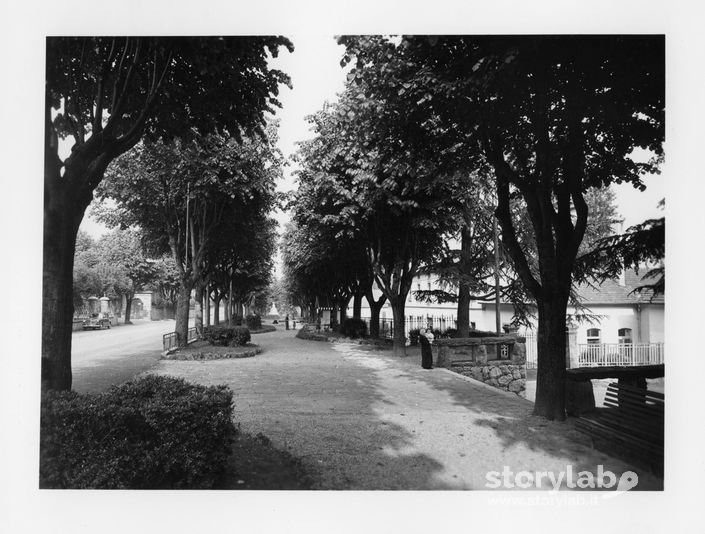 Viale alberato a Clusone
