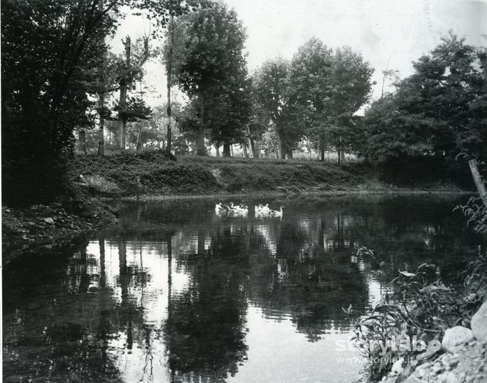 Fontanile Di S.Rocco