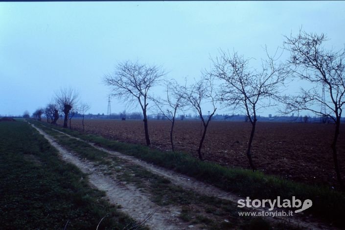 La Campagna Di Boccaleone