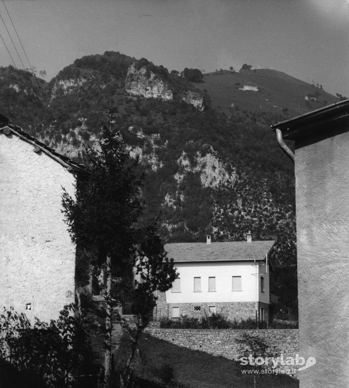 Case A Brumano