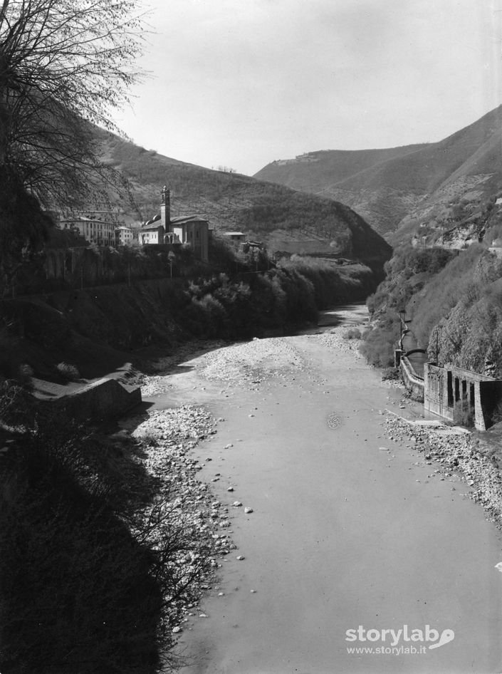 Sedrina