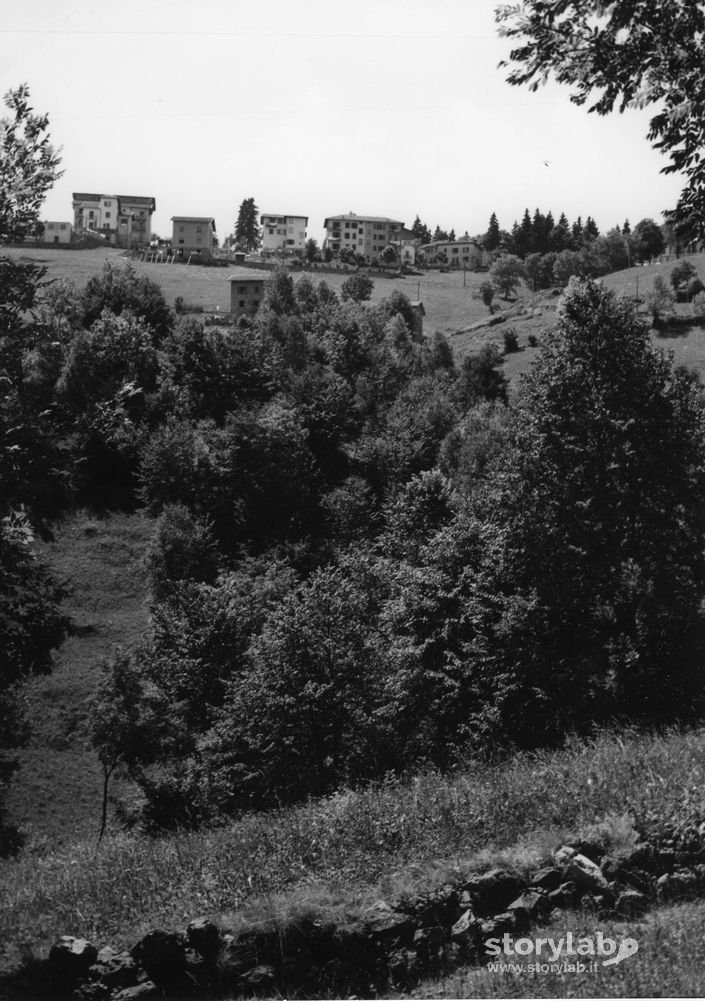 Selvino
