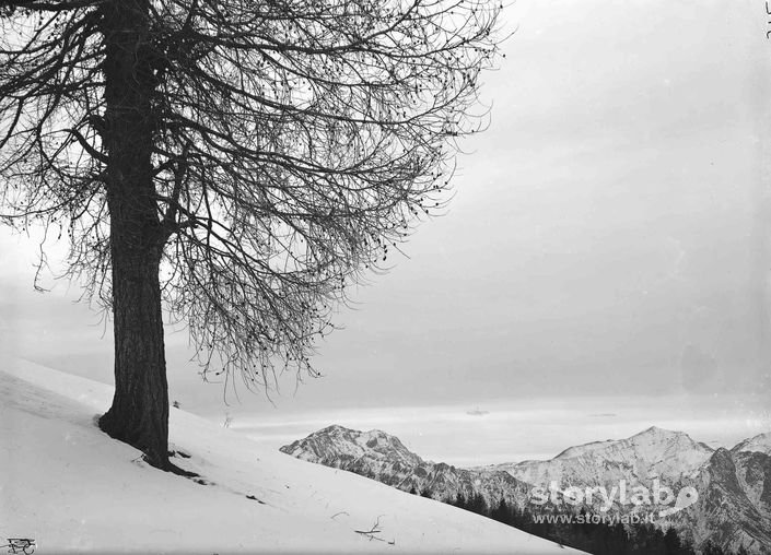 Paesaggio Innevato
