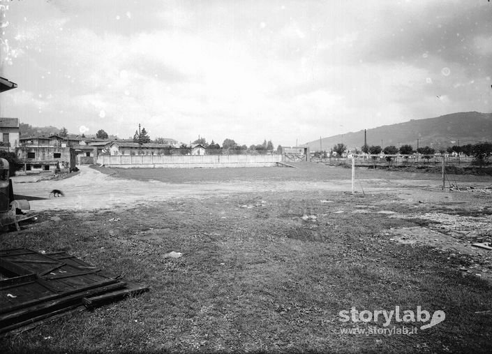 Campo  
