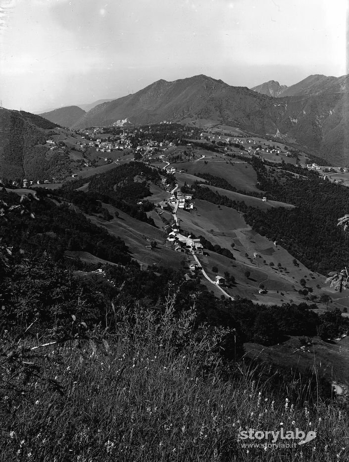 Panorama