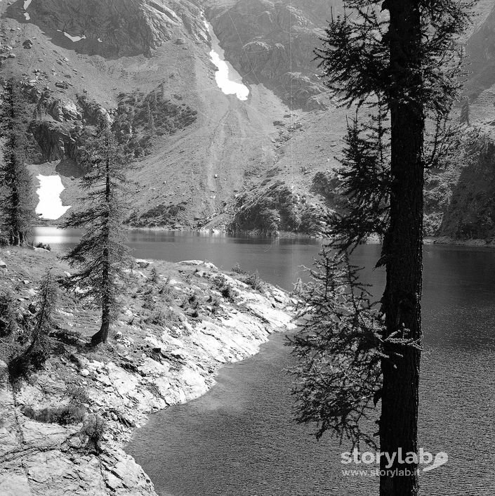 Lago Alpino