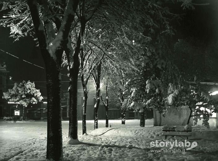 Viale Alberato Innevato, Bergamo
