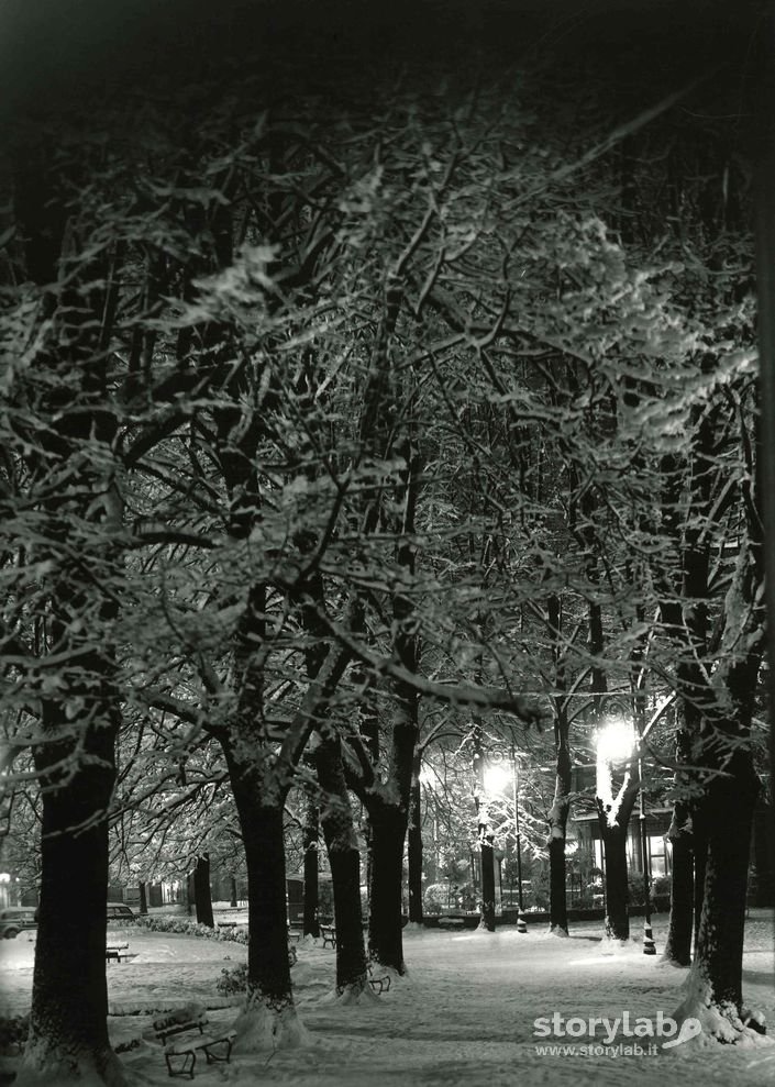 Viale Alberato Sotto La Neve, Bergamo