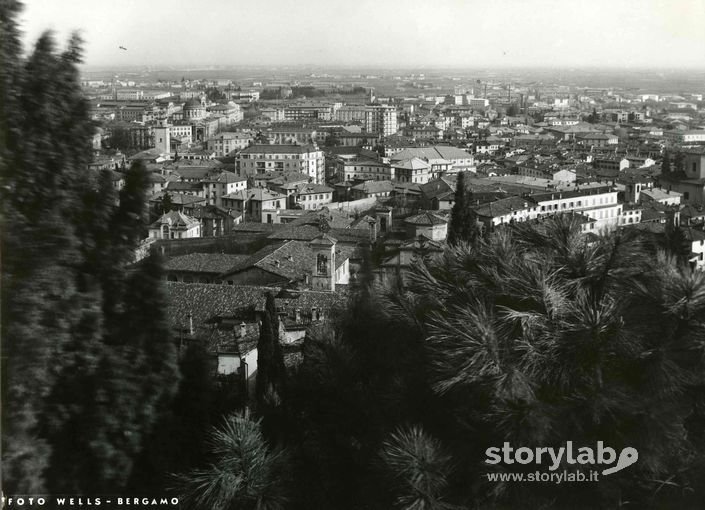 Osservando La Città