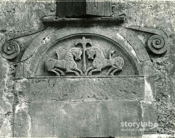 Dettaglio