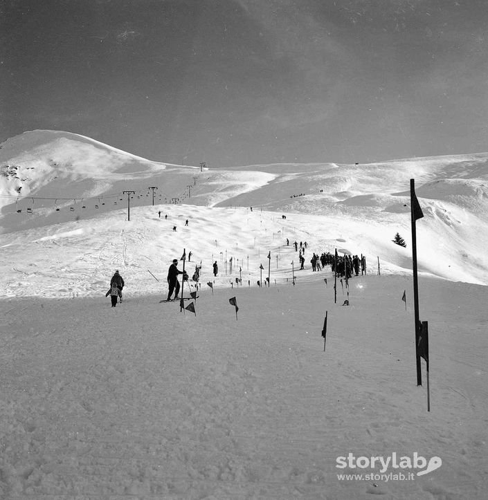 Piste Da Sci