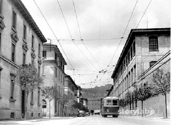 Via Palma il Vecchio